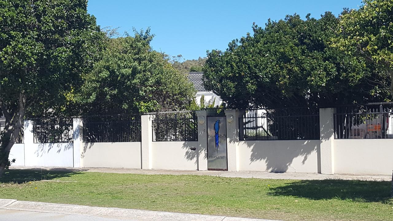 Blu Bed & Breakfast Port Elizabeth Esterno foto