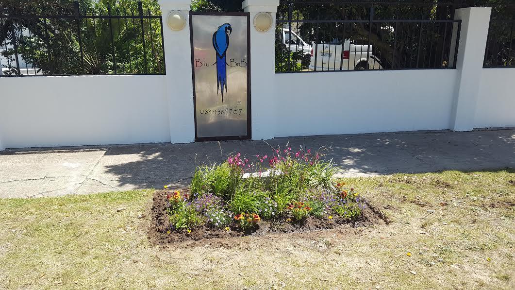 Blu Bed & Breakfast Port Elizabeth Esterno foto